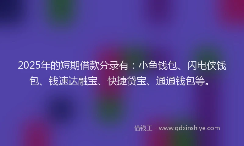 2025年的短期借款分录有:小鱼钱包、闪电侠钱包、钱速达融宝、快捷贷宝、通通钱包等。