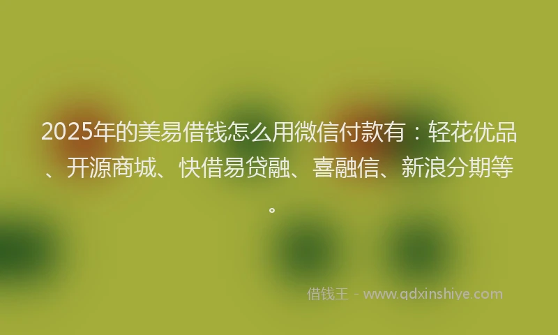 2025年的美易借钱怎么用微信付款有:轻花优品、开源商城、快借易贷融、喜融信、新浪分期等。
