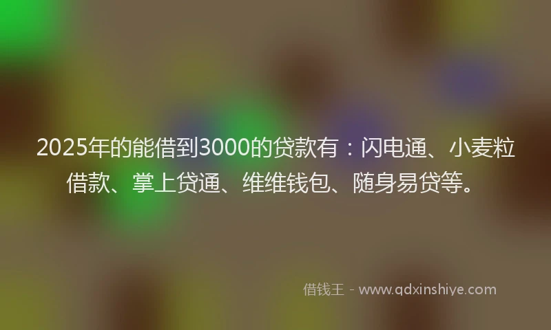 2025年的能借到3000的贷款有:闪电通、小麦粒借款、掌上贷通、维维钱包、随身易贷等。