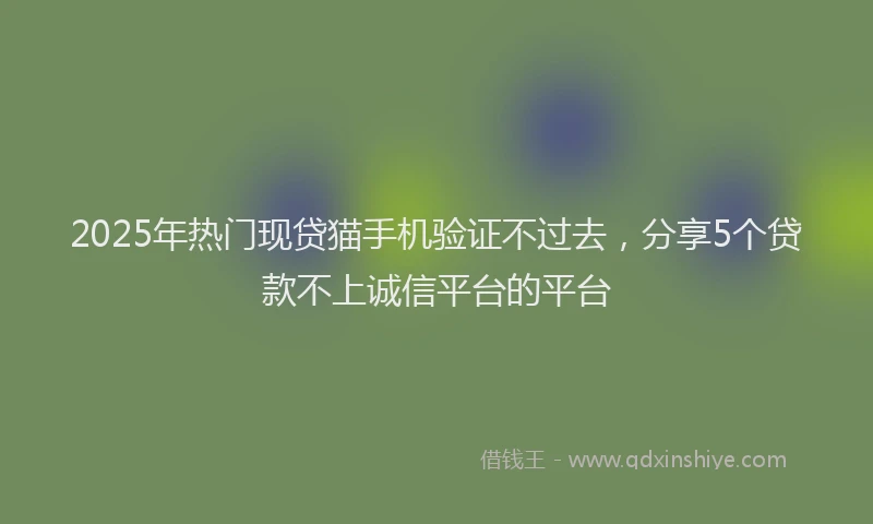 2025年热门现贷猫手机验证不过去，分享5个贷款不上诚信平台的平台