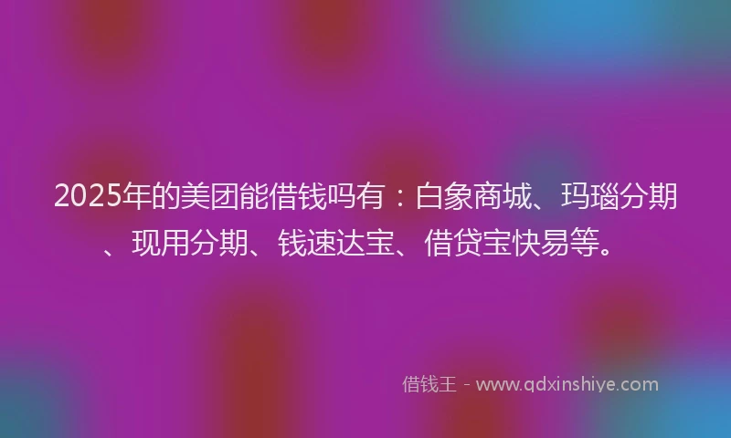 2025年的美团能借钱吗有：白象商城、玛瑙分期、现用分期、钱速达宝、借贷宝快易等。