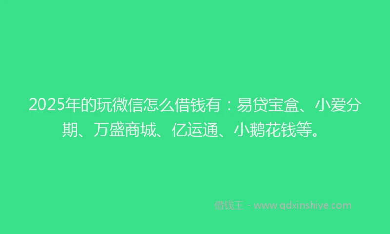 2025年的玩微信怎么借钱有：易贷宝盒、小爱分期、万盛商城、亿运通、小鹅花钱等。