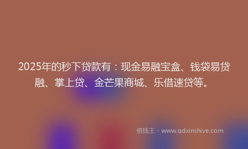 2025年的秒下贷款有：现金易融宝盒、钱袋易贷融、掌上贷、金芒果商城、乐借速贷等。
