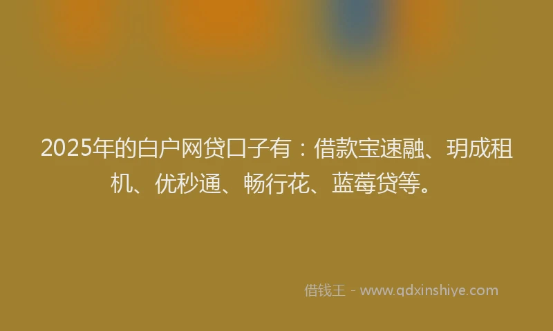 2025年的白户网贷口子有：借款宝速融、玥成租机、优秒通、畅行花、蓝莓贷等。