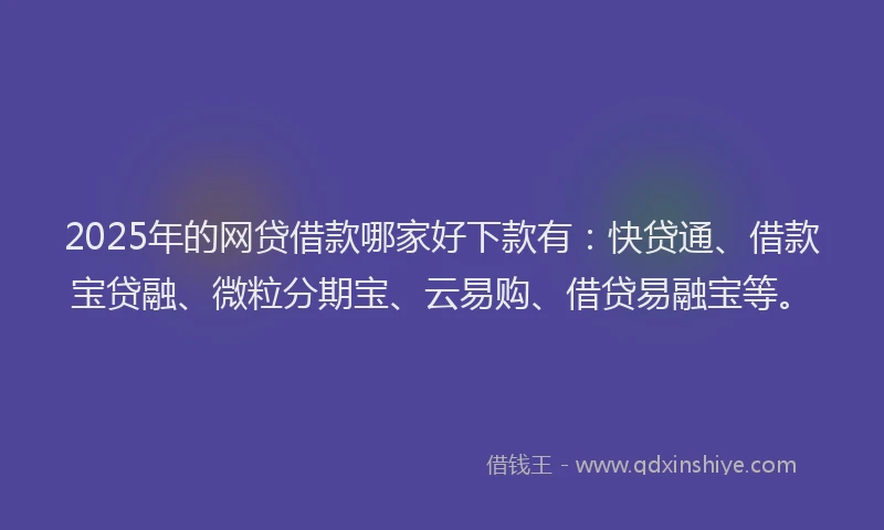 2025年的网贷借款哪家好下款有：快贷通、借款宝贷融、微粒分期宝、云易购、借贷易融宝等。