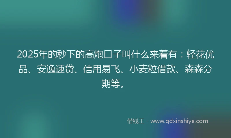 2025年的秒下的高炮口子叫什么来着有：轻花优品、安逸速贷、信用易飞、小麦粒借款、森森分期等。