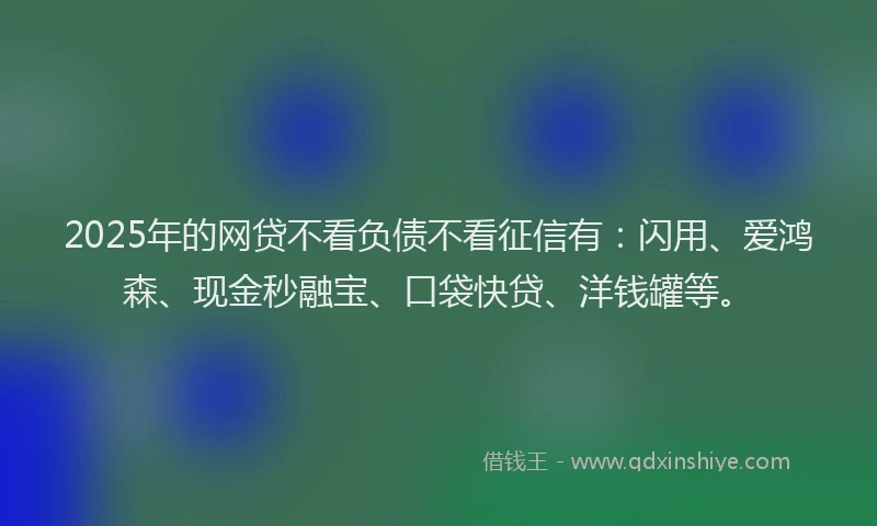 2025年的网贷不看负债不看征信有：闪用、爱鸿森、现金秒融宝、口袋快贷、洋钱罐等。