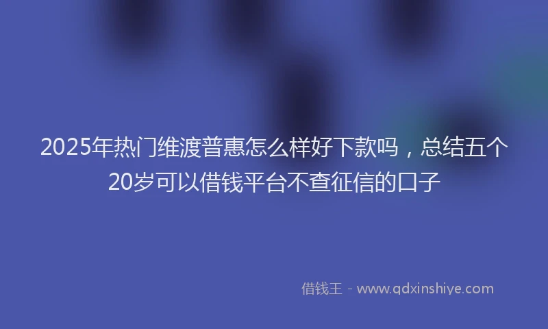 2025年热门维渡普惠怎么样好下款吗，总结五个20岁可以借钱平台不查征信的口子