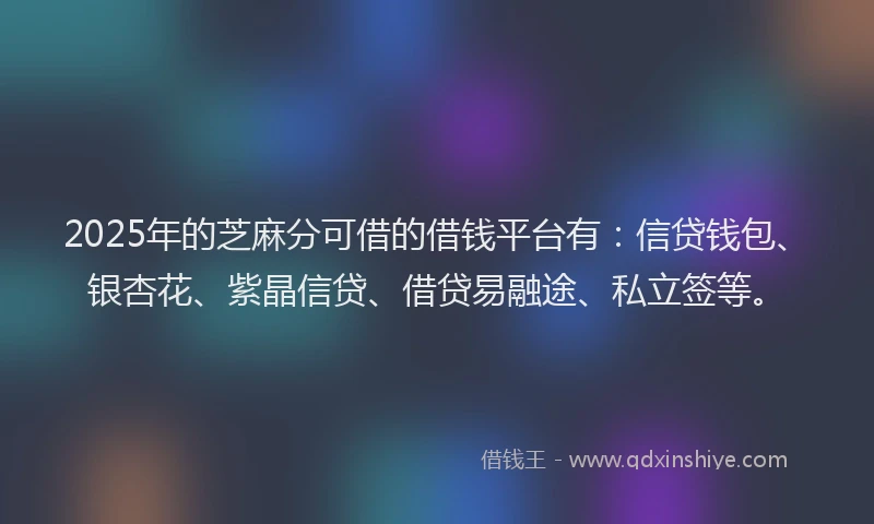 2025年的芝麻分可借的借钱平台有：信贷钱包、银杏花、紫晶信贷、借贷易融途、私立签等。