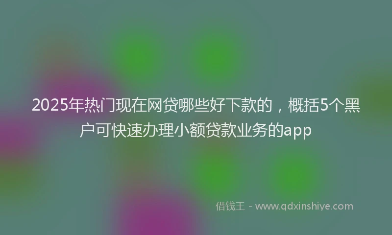2025年热门现在网贷哪些好下款的，概括5个黑户可快速办理小额贷款业务的app