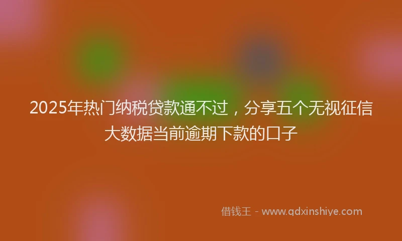 2025年热门纳税贷款通不过,分享五个无视征信大数据当前逾期下款的口子