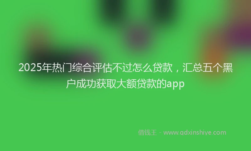 2025年热门综合评估不过怎么贷款，汇总五个黑户成功获取大额贷款的app