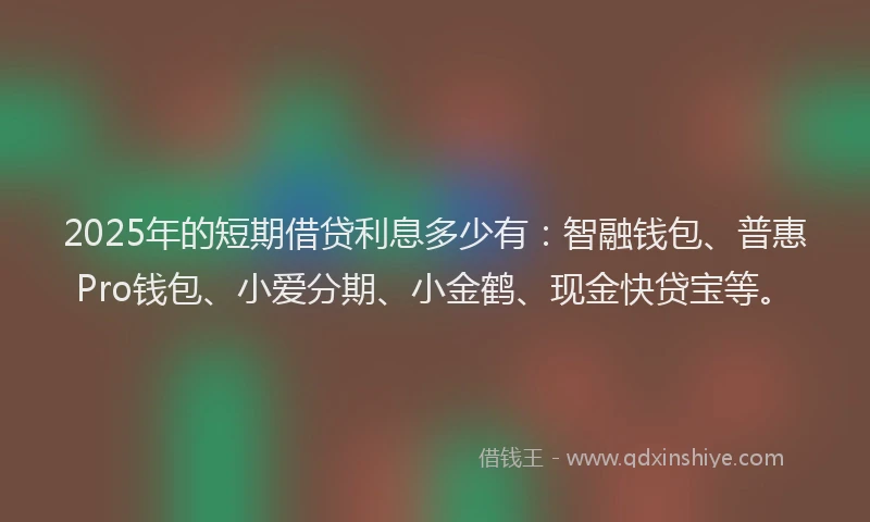 2025年的短期借贷利息多少有：智融钱包、普惠Pro钱包、小爱分期、小金鹤、现金快贷宝等。