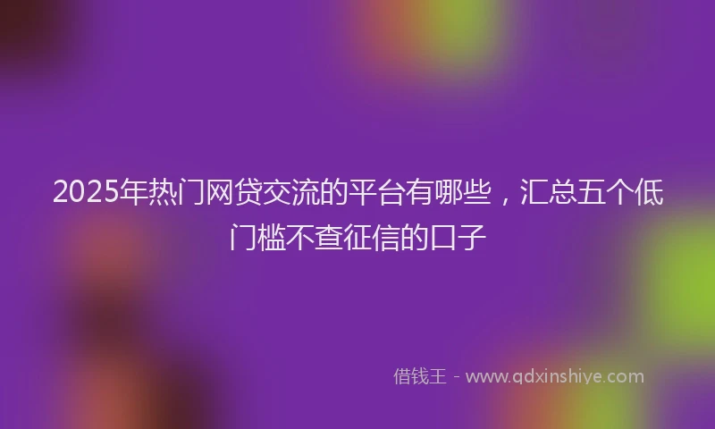 2025年热门网贷交流的平台有哪些,汇总五个低门槛不查征信的口子