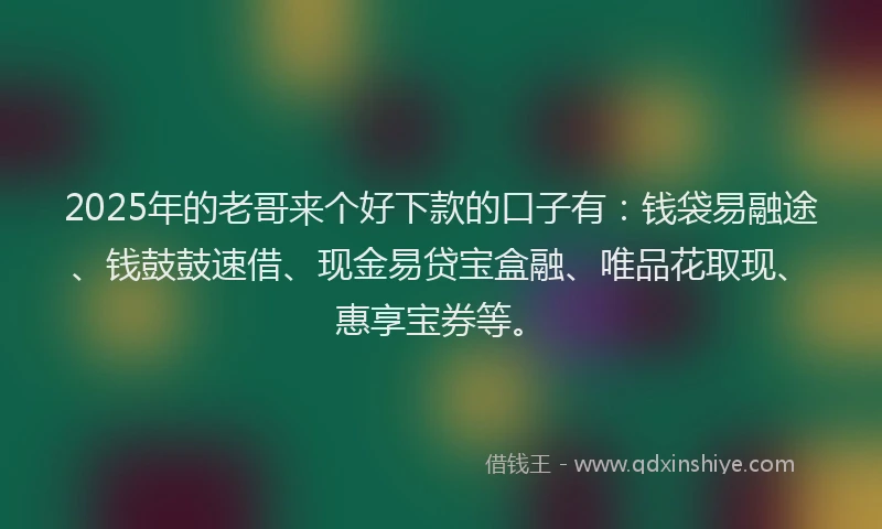 2025年的老哥来个好下款的口子有：钱袋易融途、钱鼓鼓速借、现金易贷宝盒融、唯品花取现、惠享宝券等。