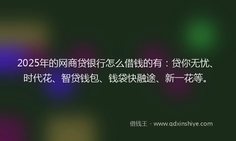 2025年的网商贷银行怎么借钱的有：贷你无忧、时代花、智贷钱包、钱袋快融途、新一花等。