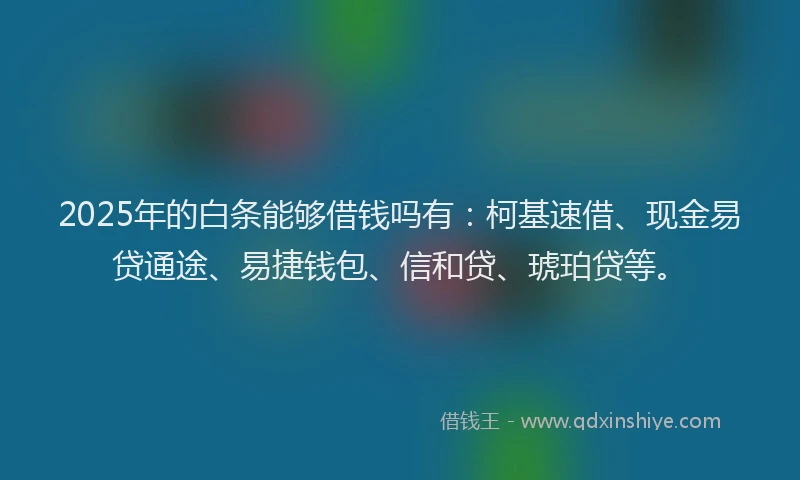 2025年的白条能够借钱吗有：柯基速借、现金易贷通途、易捷钱包、信和贷、琥珀贷等。