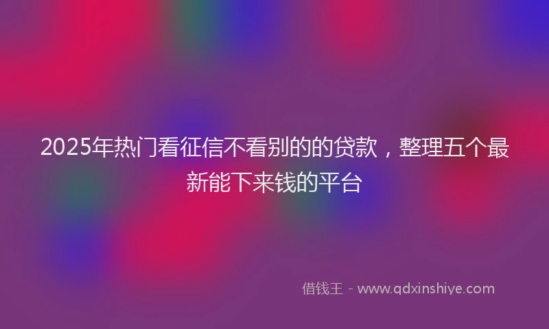 2025年热门看征信不看别的的贷款，整理五个最新能下来钱的平台