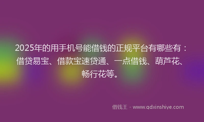 2025年的用手机号能借钱的正规平台有哪些有：借贷易宝、借款宝速贷通、一点借钱、葫芦花、畅行花等。
