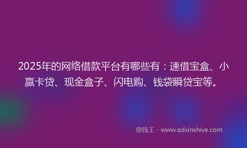 2025年的网络借款平台有哪些有：速借宝盒、小赢卡贷、现金盒子、闪电购、钱袋瞬贷宝等。