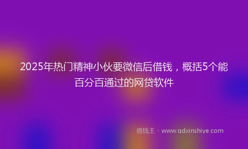 2025年热门精神小伙要微信后借钱，概括5个能百分百通过的网贷软件