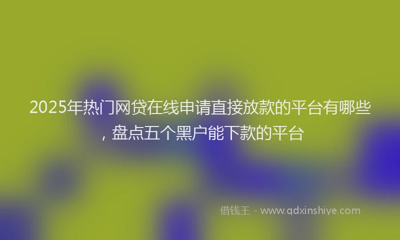 2025年热门网贷在线申请直接放款的平台有哪些，盘点五个黑户能下款的平台