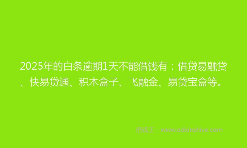 2025年的白条逾期1天不能借钱有：借贷易融贷、快易贷通、积木盒子、飞融金、易贷宝盒等。