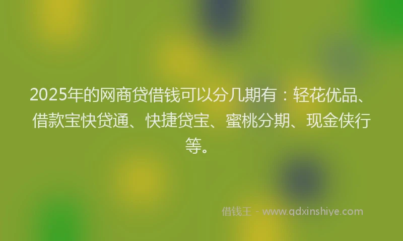 2025年的网商贷借钱可以分几期有：轻花优品、借款宝快贷通、快捷贷宝、蜜桃分期、现金侠行等。