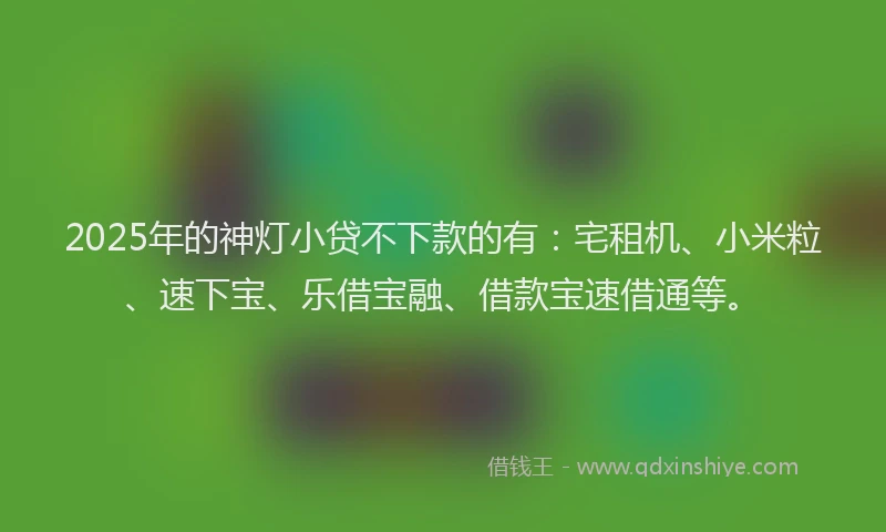 2025年的神灯小贷不下款的有：宅租机、小米粒、速下宝、乐借宝融、借款宝速借通等。