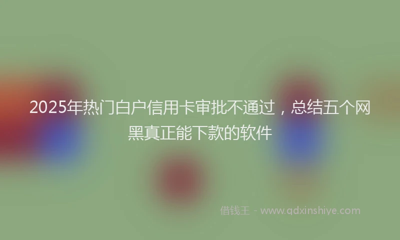 2025年热门白户信用卡审批不通过，总结五个网黑真正能下款的软件