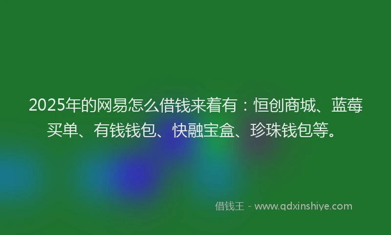 2025年的网易怎么借钱来着有:恒创商城、蓝莓买单、有钱钱包、快融宝盒、珍珠钱包等。