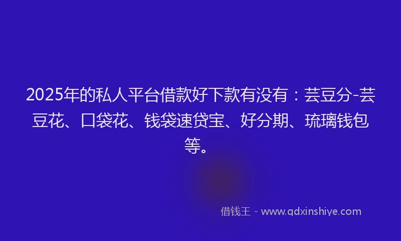 2025年的私人平台借款好下款有没有：芸豆分-芸豆花、口袋花、钱袋速贷宝、好分期、琉璃钱包等。