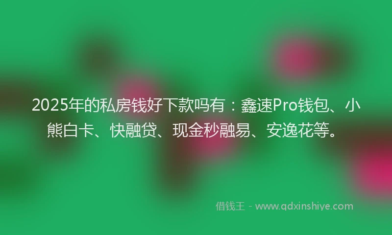 2025年的私房钱好下款吗有:鑫速Pro钱包、小熊白卡、快融贷、现金秒融易、安逸花等。