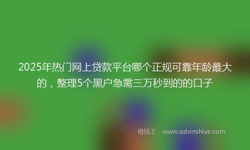 2025年热门网上贷款平台哪个正规可靠年龄最大的，整理5个黑户急需三万秒到的的口子