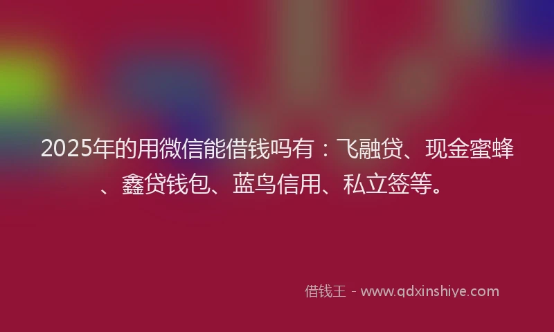 2025年的用微信能借钱吗有：飞融贷、现金蜜蜂、鑫贷钱包、蓝鸟信用、私立签等。