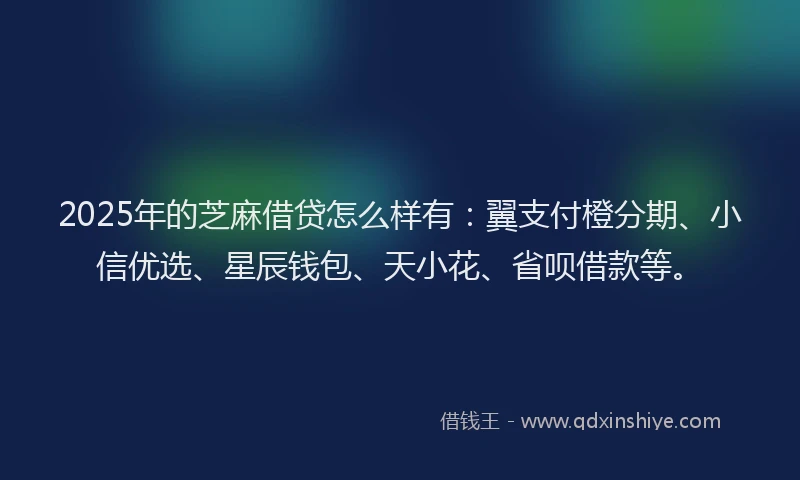 2025年的芝麻借贷怎么样有:翼支付橙分期、小信优选、星辰钱包、天小花、省呗借款等。