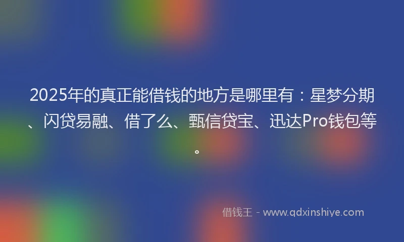 2025年的真正能借钱的地方是哪里有:星梦分期、闪贷易融、借了么、甄信贷宝、迅达Pro钱包等。