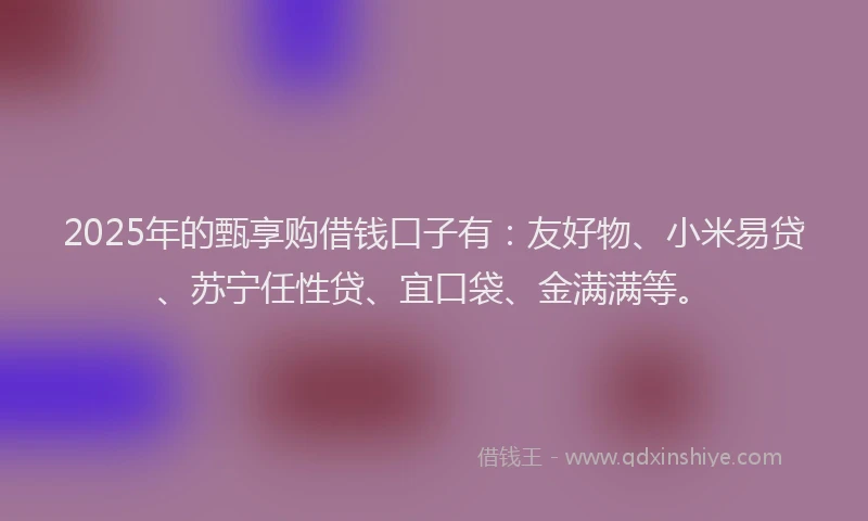 2025年的甄享购借钱口子有：友好物、小米易贷、苏宁任性贷、宜口袋、金满满等。