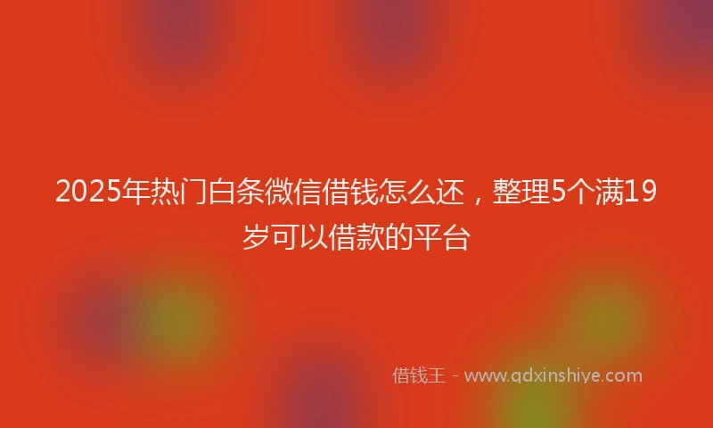2025年热门白条微信借钱怎么还，整理5个满19岁可以借款的平台