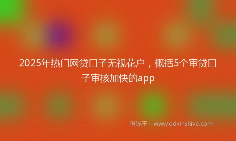 2025年热门网贷口子无视花户，概括5个审贷口子审核加快的app