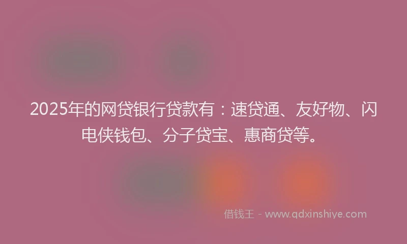 2025年的网贷银行贷款有：速贷通、友好物、闪电侠钱包、分子贷宝、惠商贷等。