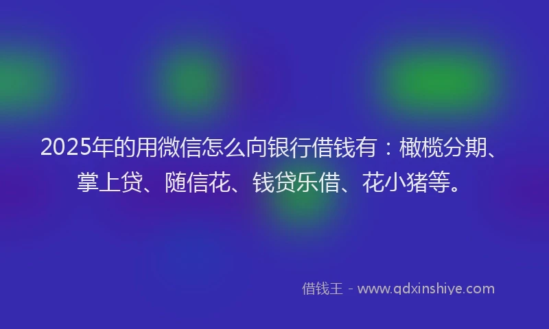2025年的用微信怎么向银行借钱有：橄榄分期、掌上贷、随信花、钱贷乐借、花小猪等。