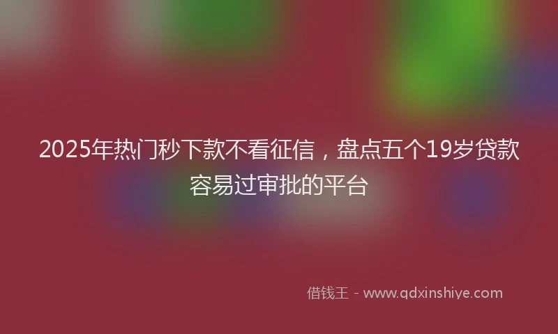 2025年热门秒下款不看征信，盘点五个19岁贷款容易过审批的平台
