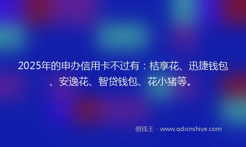 2025年的申办信用卡不过有：桔享花、迅捷钱包、安逸花、智贷钱包、花小猪等。