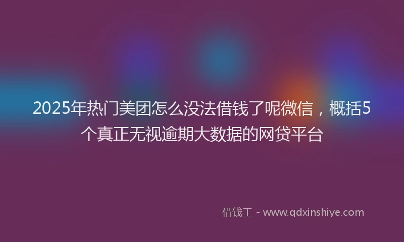 2025年热门美团怎么没法借钱了呢微信，概括5个真正无视逾期大数据的网贷平台