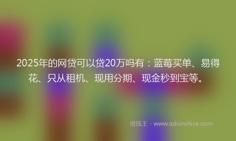 2025年的网贷可以贷20万吗有：蓝莓买单、易得花、只从租机、现用分期、现金秒到宝等。