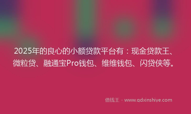 2025年的良心的小额贷款平台有：现金贷款王、微粒贷、融通宝Pro钱包、维维钱包、闪贷侠等。