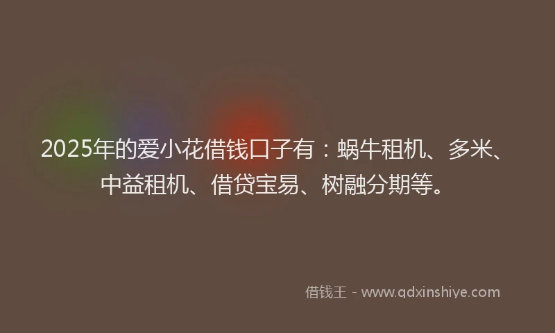2025年的爱小花借钱口子有：蜗牛租机、多米、中益租机、借贷宝易、树融分期等。