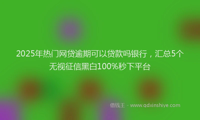 2025年热门网贷逾期可以贷款吗银行，汇总5个无视征信黑白100%秒下平台