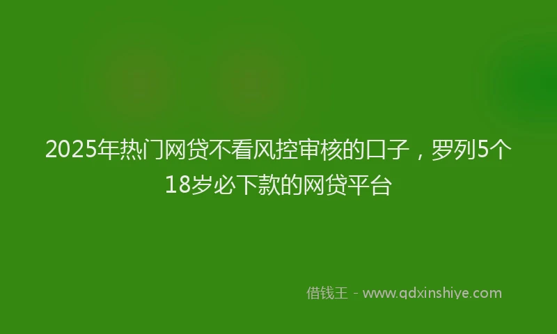 2025年热门网贷不看风控审核的口子,罗列5个18岁必下款的网贷平台